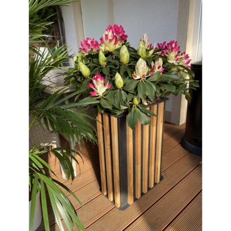 Donica drewniana Lamele 43x60 cm