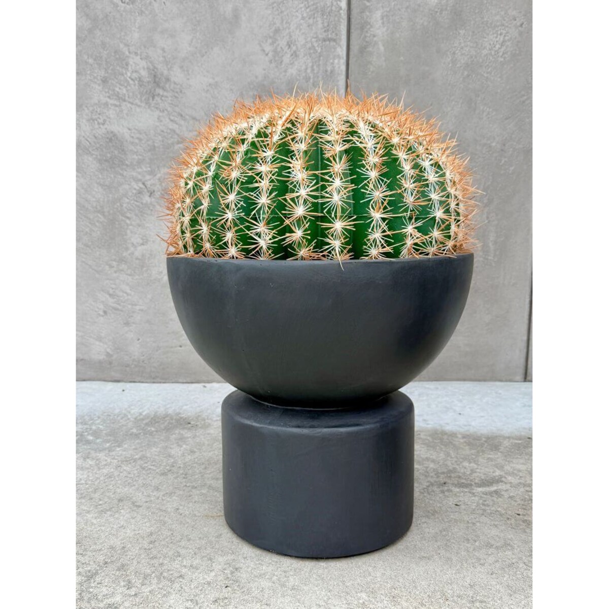 KAKTUS KULISTY 45 CM