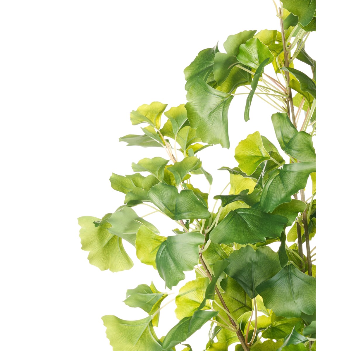 Sztuczna roślina GINKGO TREE 150 cm Zielony