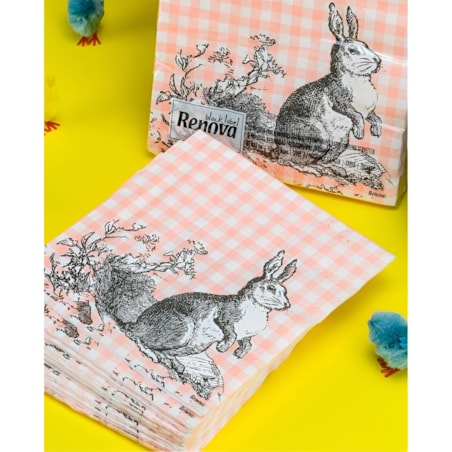 Serwetki Papierowe Ozdobne Renova Bunny & Fox 33x33 cm 3-warstwy 20 sztuk
