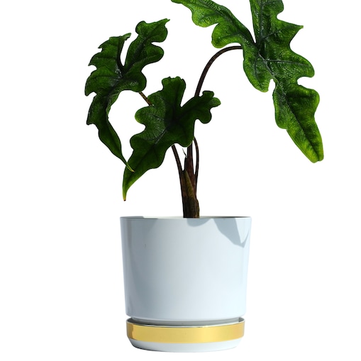 12 Doniczka DUO BIAŁA z podstawką ZŁOTO B. dwukolorowa nowoczesna z połyskiem drenażem elegancka