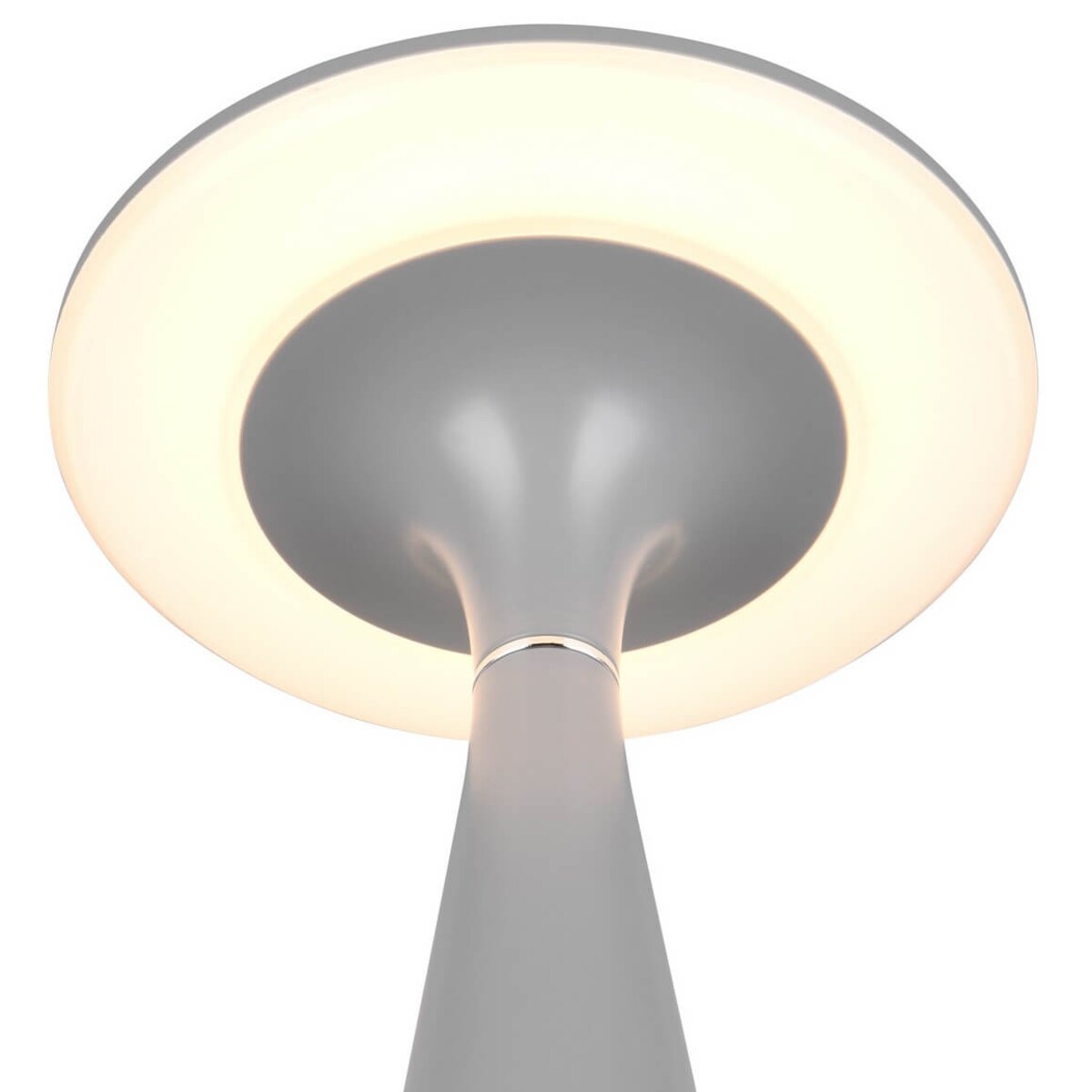 Stojąca lampa ledowa Torrez R57726177 RL Light LED 2W 3000-5000K IP44 szara
