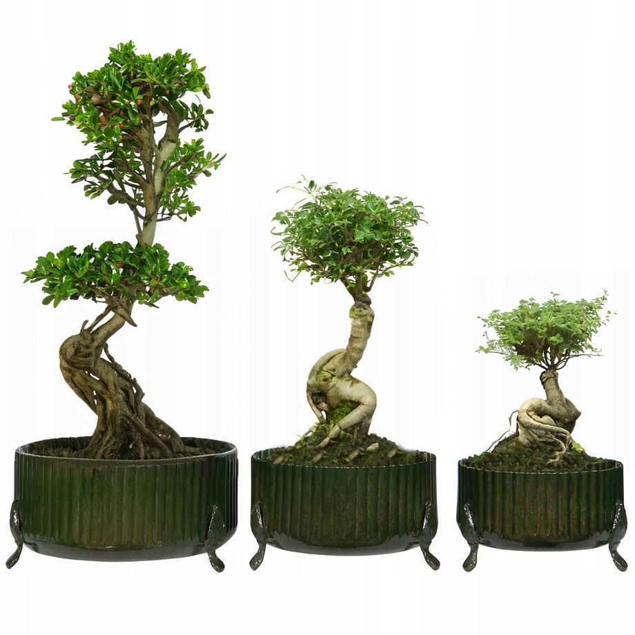 DONICZKA NA BONSAI DUŻA 3 szt. płaska płytka metalowa na nóżkach osłonka