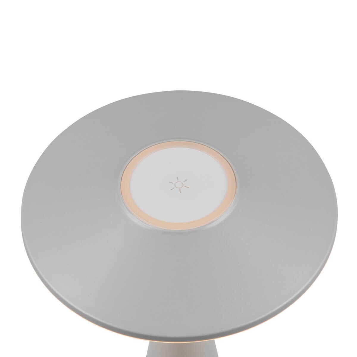 Stojąca lampa ledowa Torrez R57726177 RL Light LED 2W 3000-5000K IP44 szara