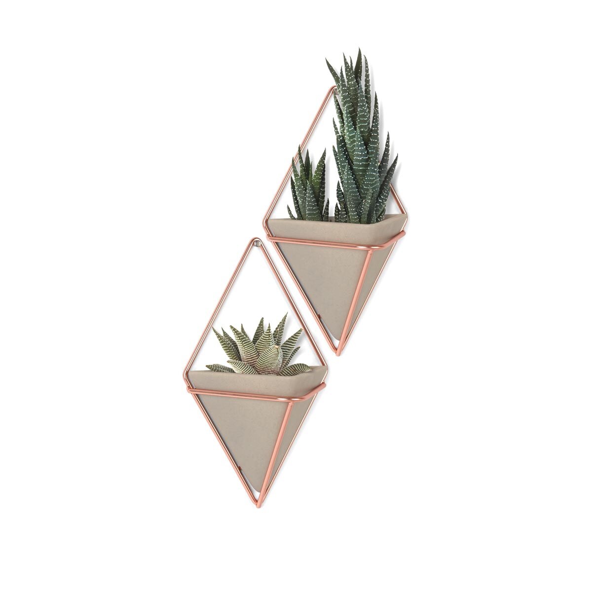 Zestaw 2 pojemników S szarych Trigg, 12 x 19 x 6.4 cm, Umbra