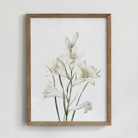 Zestaw 6 Ilustracji 21x30cm