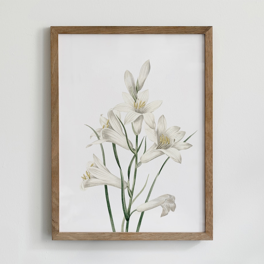 Zestaw 6 Ilustracji 21x30cm