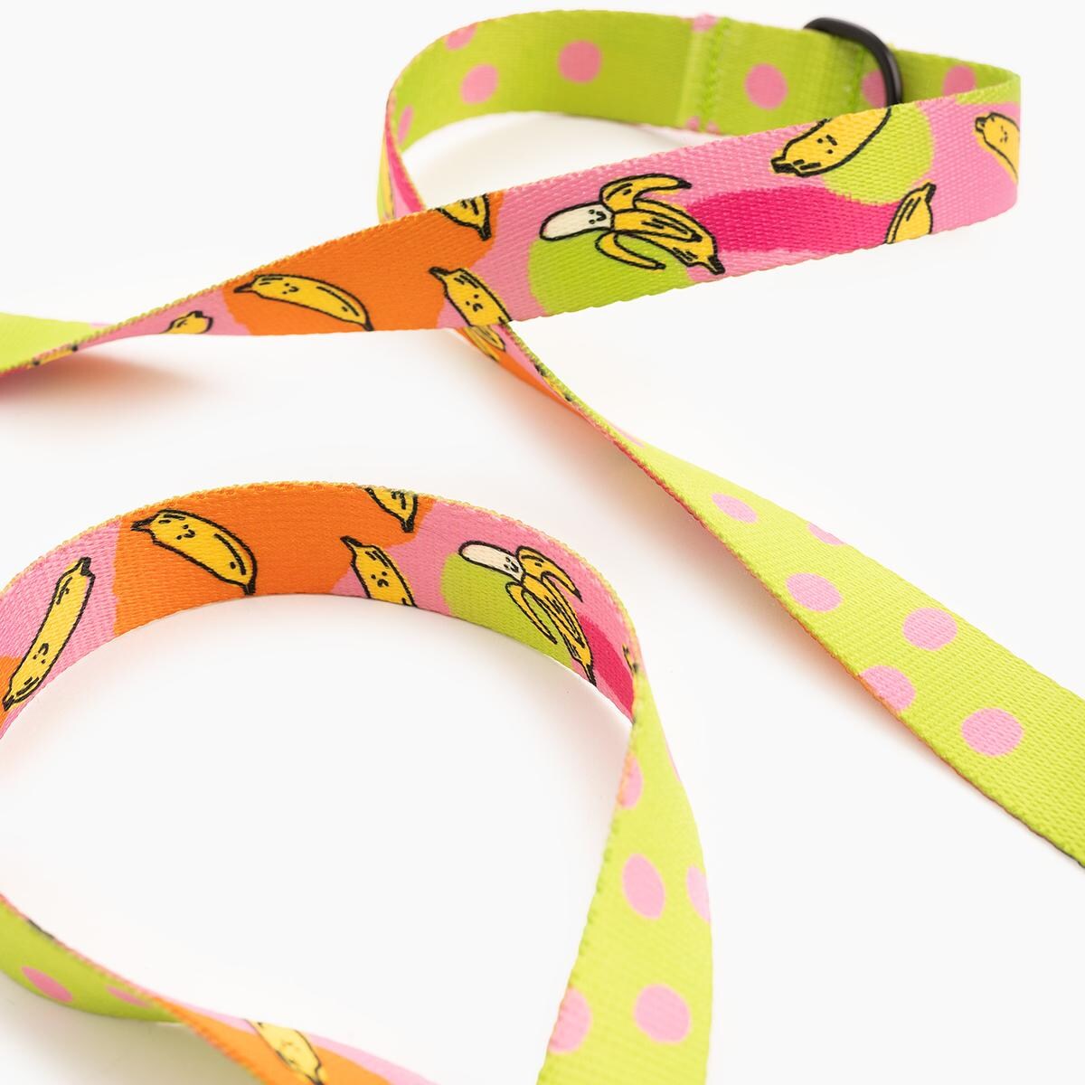 Smycz przepinana dla psa lub kota "Owoc falliczny 2.0" - Szerokość taśmy: 25mm, Rozmiar: S oraz Rodzaj: Duży karabinek