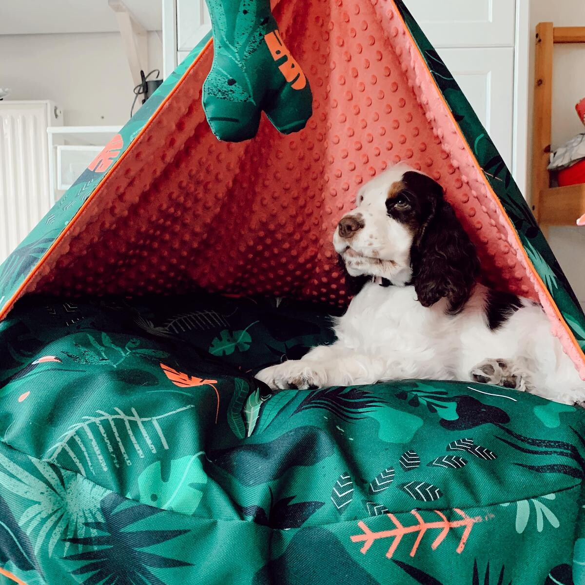 Legowisko okrągła poducha z kapturem "Welcome to the jungle" - Rozmiar: M