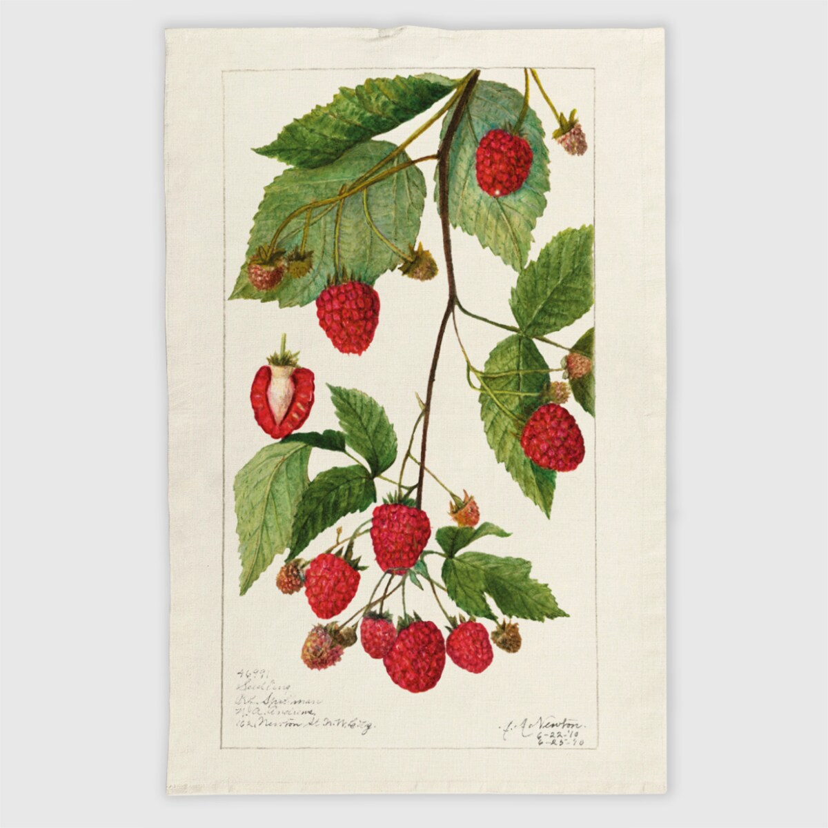 Ścierka kuchenna lniana - Maliny 50x70 cm