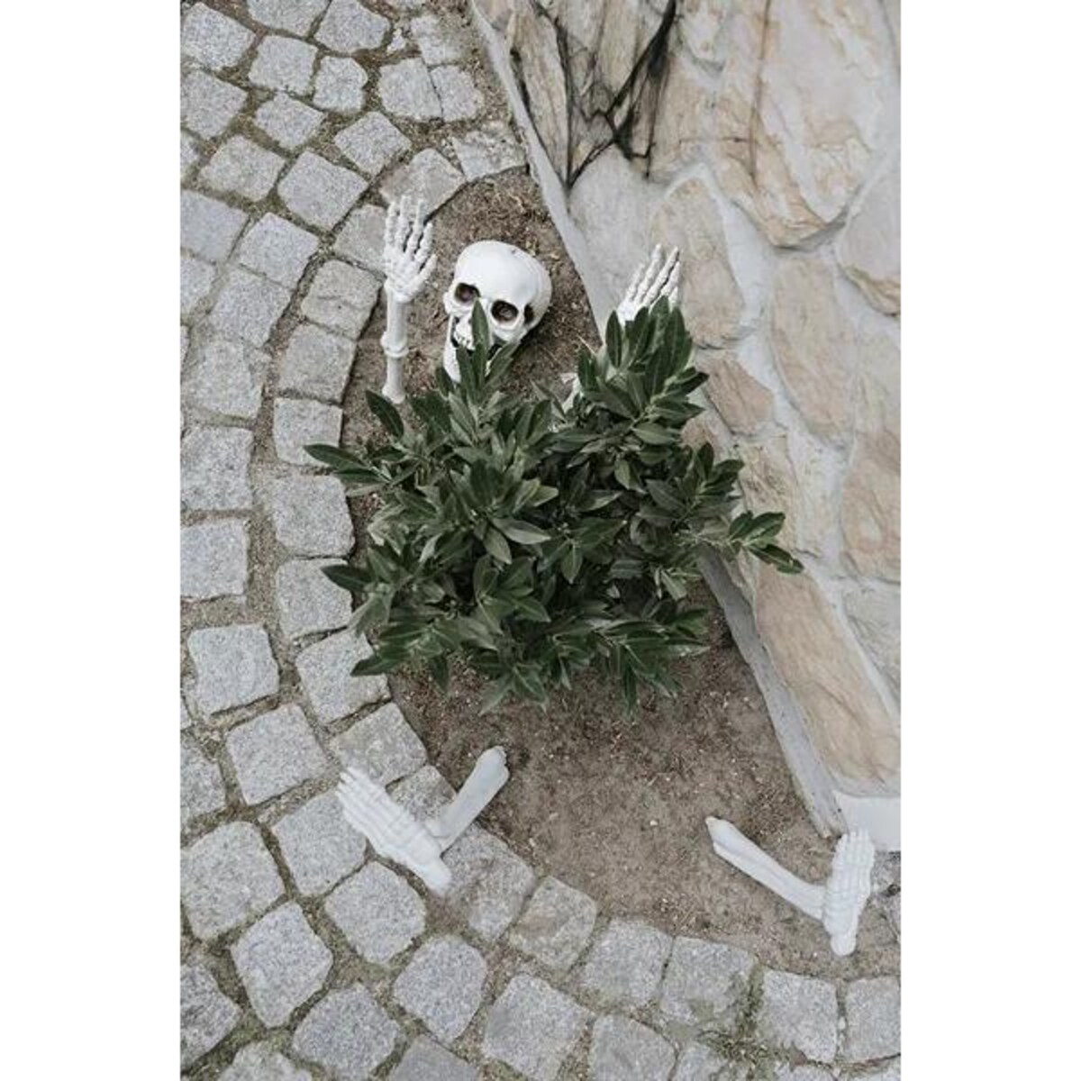 Dekoracja Kościotrup