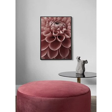 Poster Story, Plakat, Obraz - Różowa Dalia, wymiary 30 x 42 cm