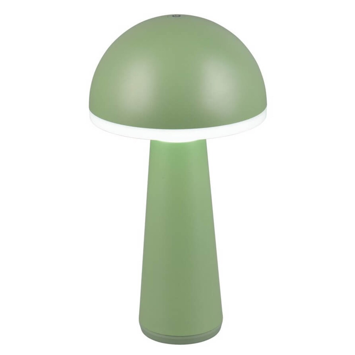 Stołowa lampka grzybek Fungo R57716149 RL Light IP54 LED 2W 3000-5000K zielony