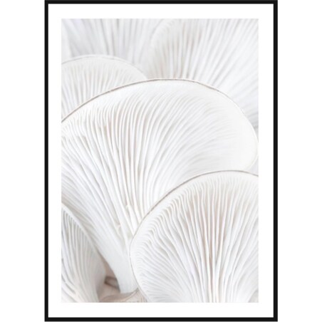 Poster Story, Plakat, Obraz - Skrzela Boczniaka No2, wymiary 21 x 30 cm