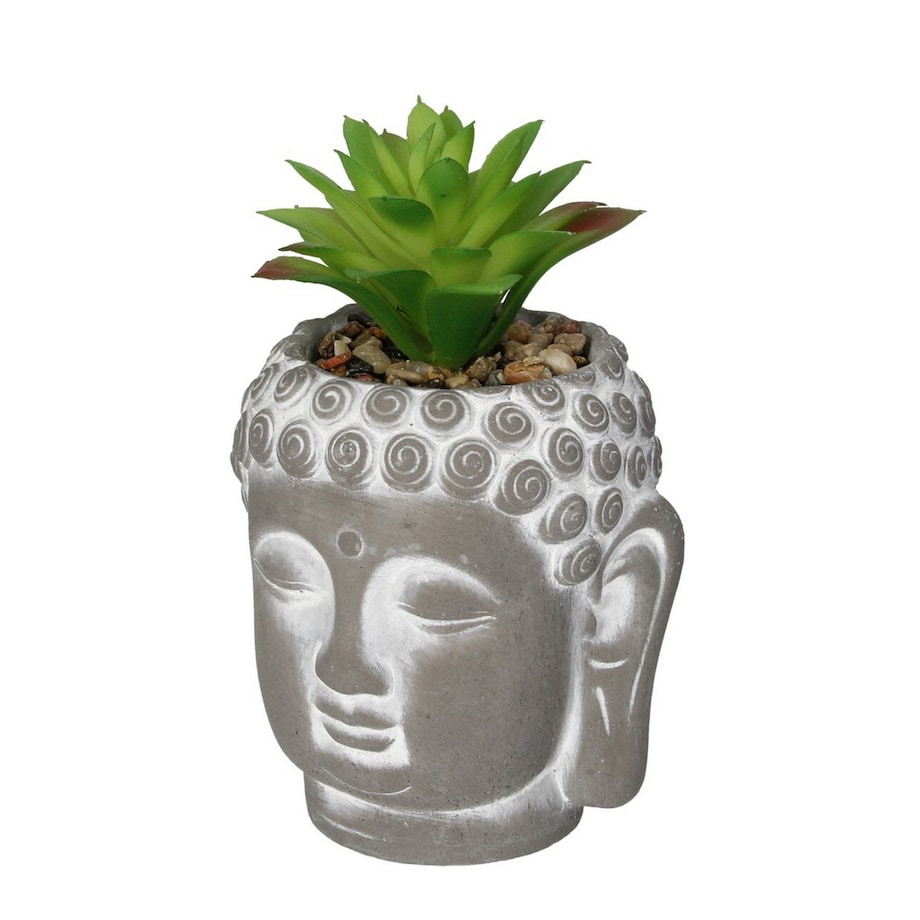 Dekoracja Succulent III Buddha 17cm, 10 x 10 x 17 cm
