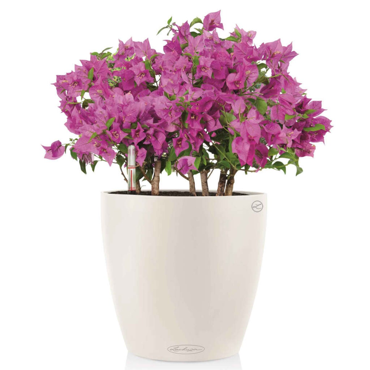 LECHUZA Biała donica Classico Color 28 ALL-IN-ONE, wysoki połysk 13190