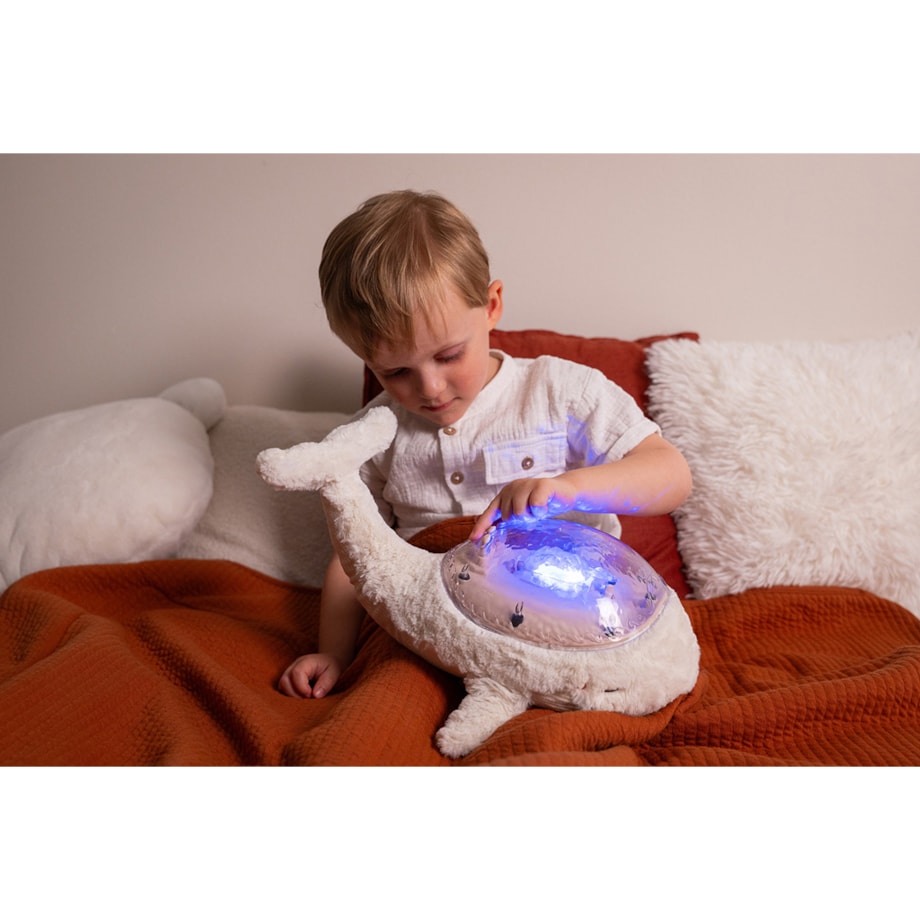 Projektor z pozytywką - Wieloryb biały ECO - Cloud b® Tranquil Whale™