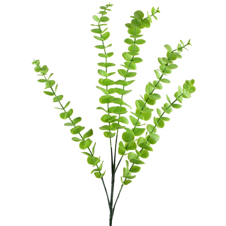 Gałązka Kwiatowa Viridis