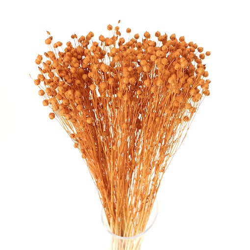 Suszony len pomarańczowy - bukiet