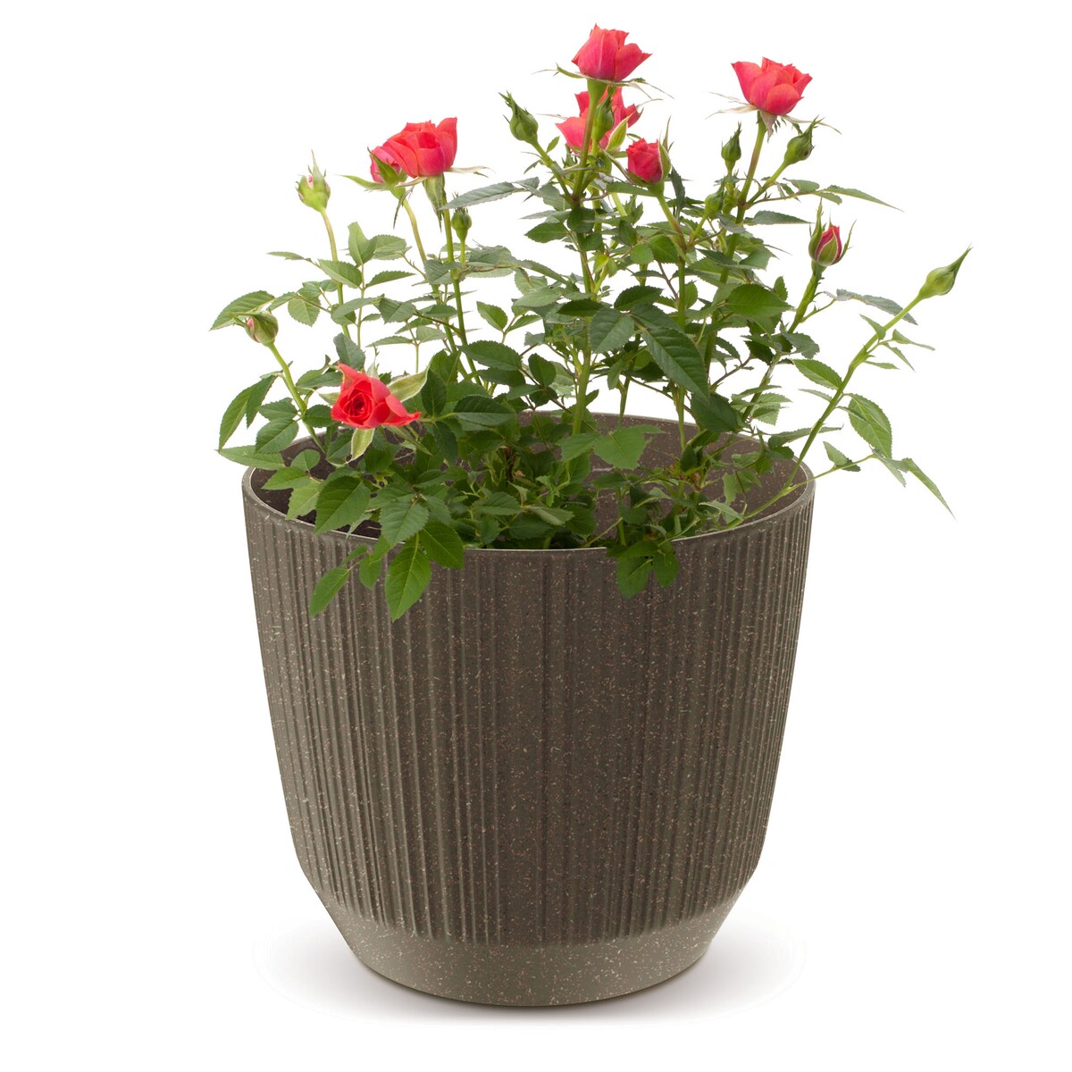 Doniczka Osłonka Domowa 12,6 Cm Ryfo Na Stół Parapet Do Domu Kawa