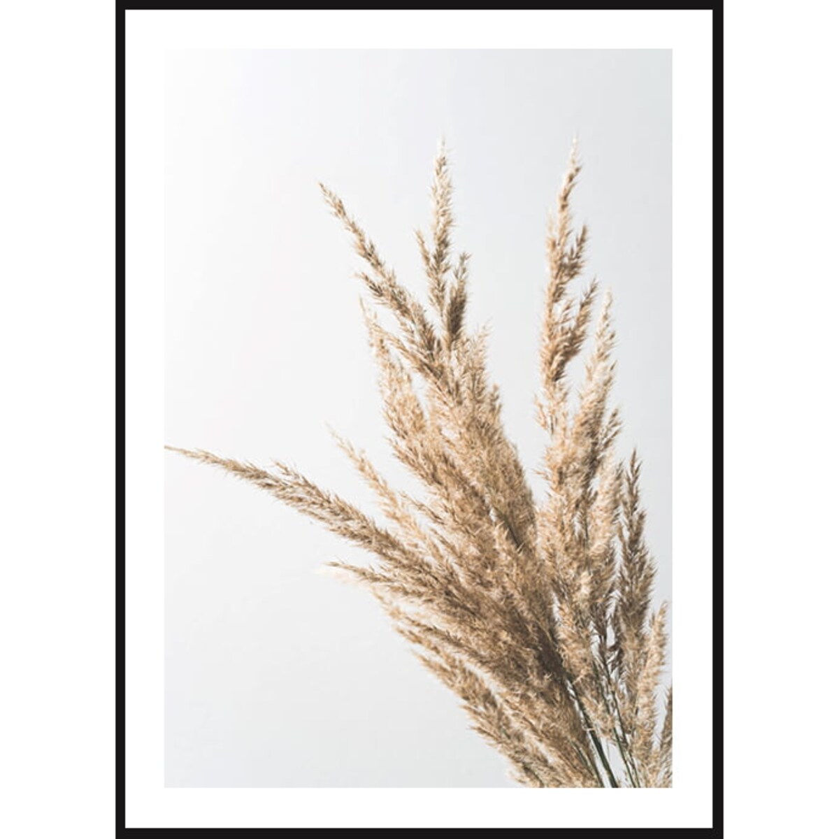 Poster Story, Plakat, Obraz - Suszona Wiązka Trawy, wymiary 30 x 42 cm