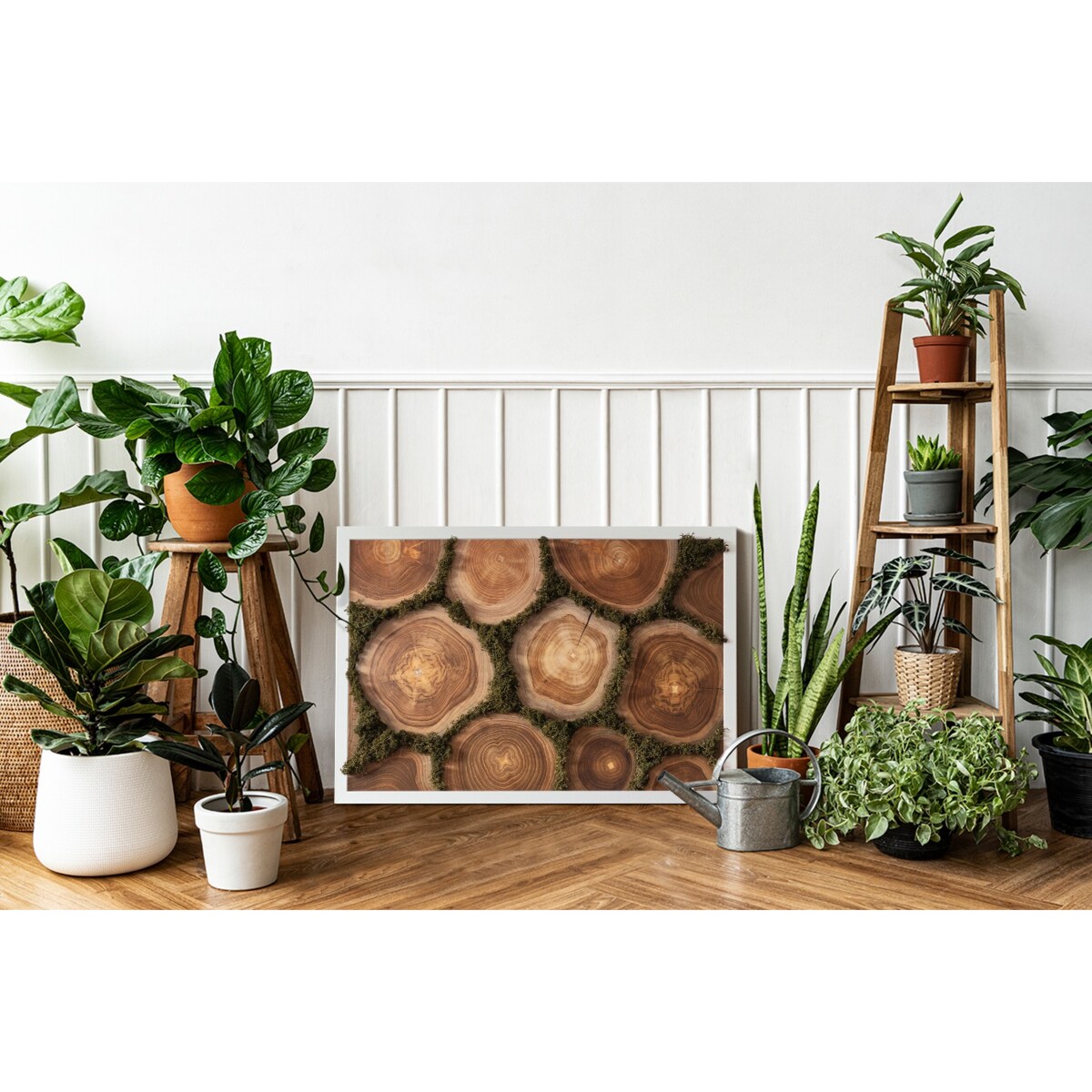 Obraz Przekrój pnia - mech chrobotek w białej ramie 60x40cm