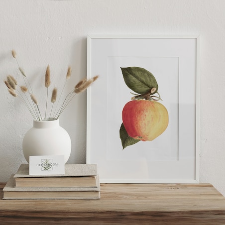 Plakat dojrzałe jabłko 21x30cm