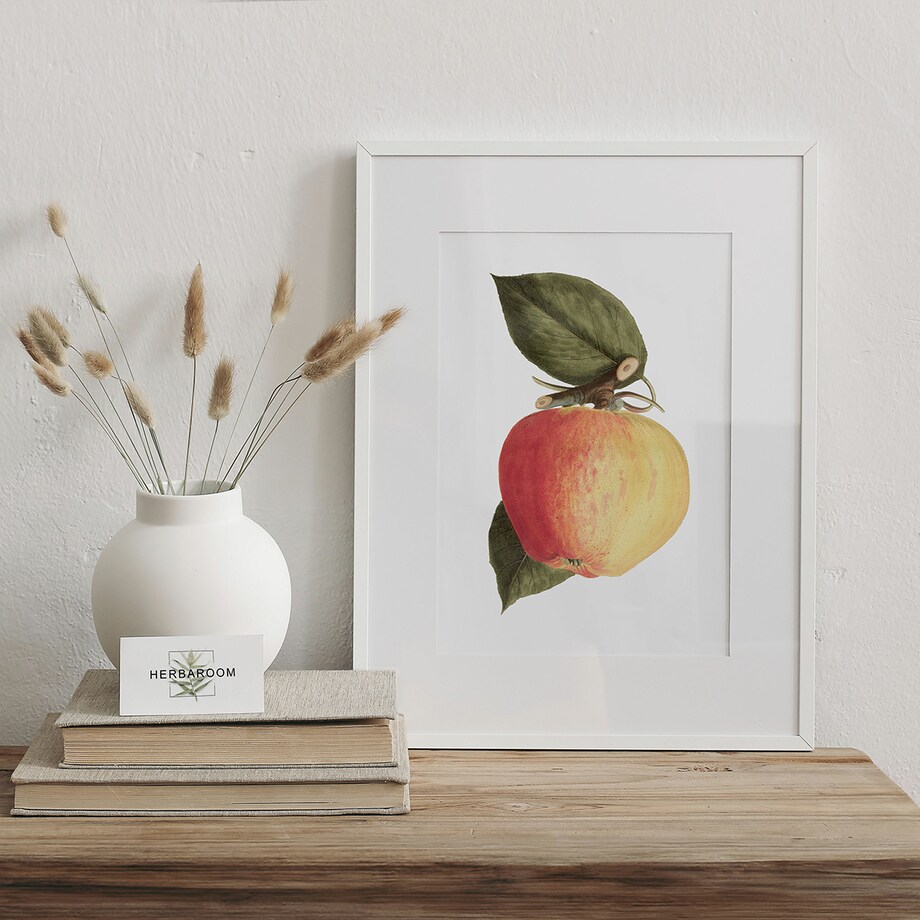 Plakat dojrzałe jabłko 21x30cm