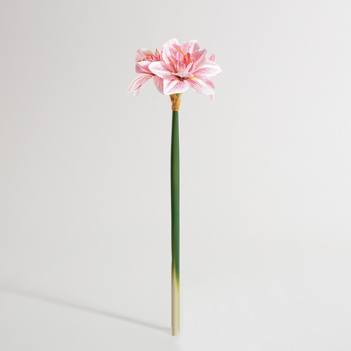 Kwiat sztuczny Amarylis 62 cm pink, 15x62 cm