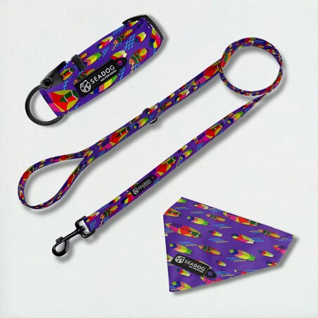 Zestaw: smycz, obroża i bandana, rozmiar M