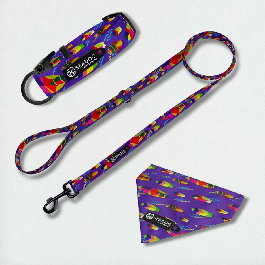 Zestaw: smycz, obroża i bandana, rozmiar M