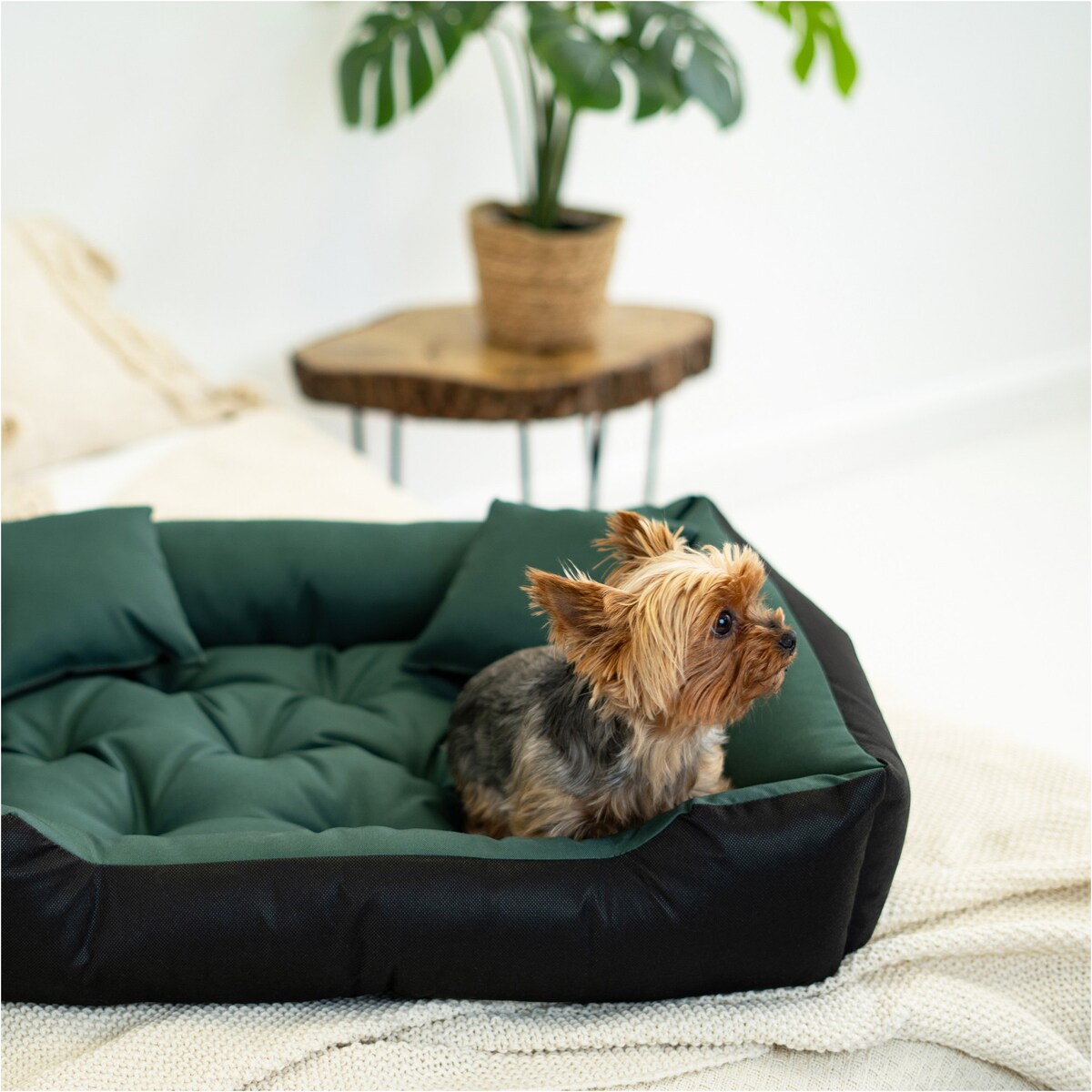 Legowisko Dla Psa Wodoodporne Posłanie Kanapa Sofa 75X65 Cm Zielone