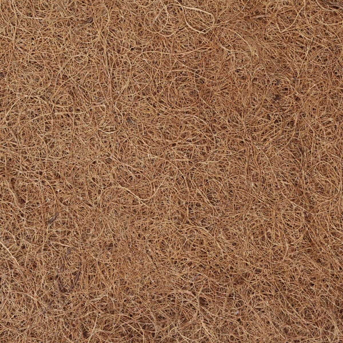 vidaXL Podkładka pod materac, 70x200 cm, włókno kokosowe