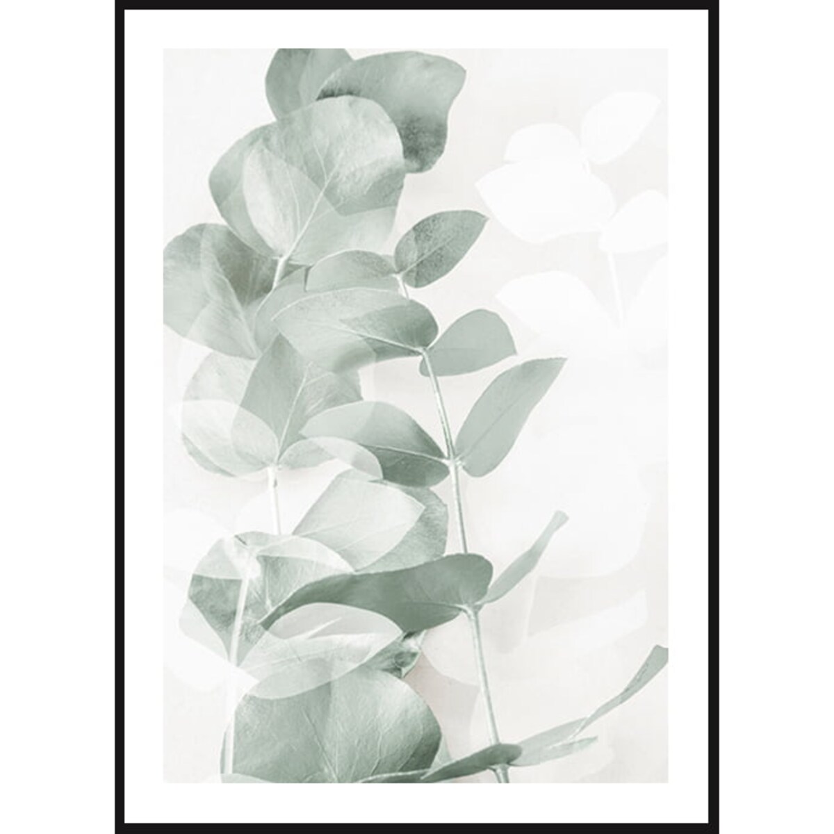 Poster Story, Plakat, Obraz - Eukaliptus No1, wymiary 42 x 60 cm