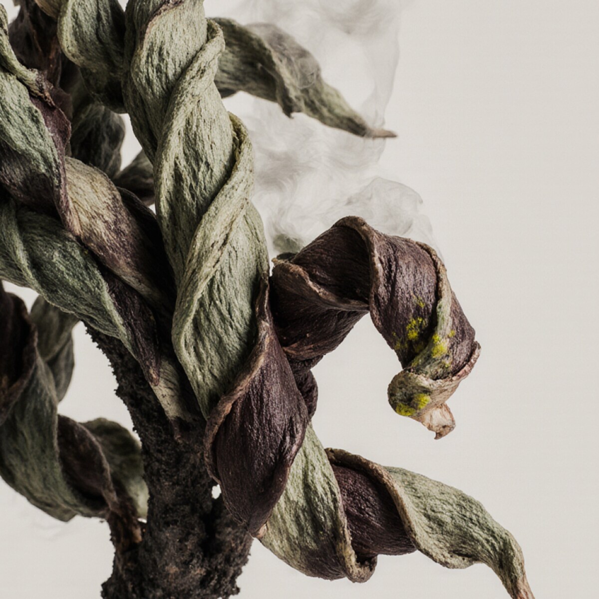 Esenzia d'Ombre - 30ml zapach do Dyfuzora Plug In