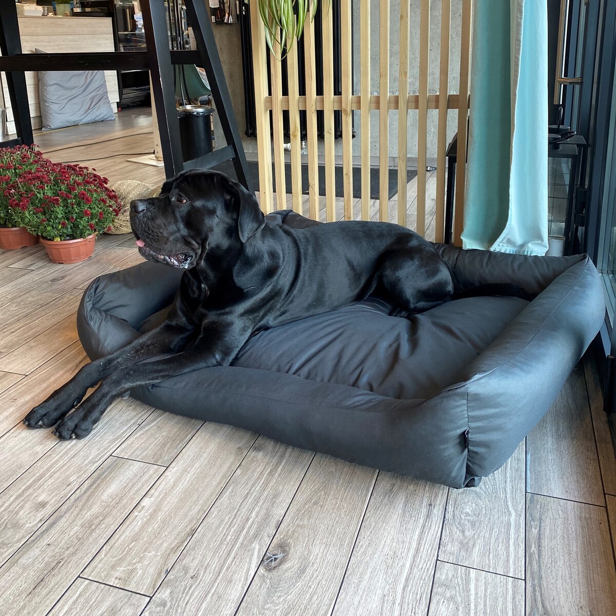 Wodoodporne legowisko dla psa KOKO, 120x100 cm, Grafit