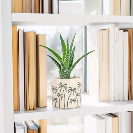 DONICZKA BEŻOWA PALMY CERAMICZNA 14cm osłonka do salonu domu palma na taras