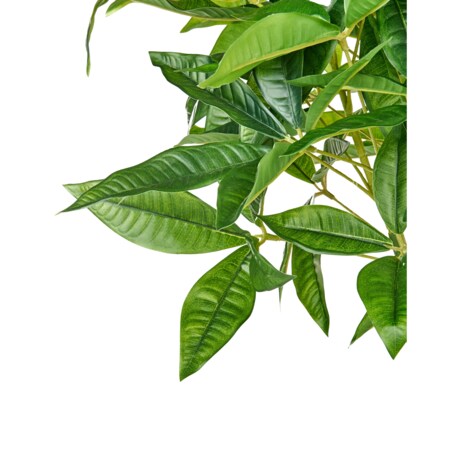 Sztuczna roślina PACHIRA TREE Zielony