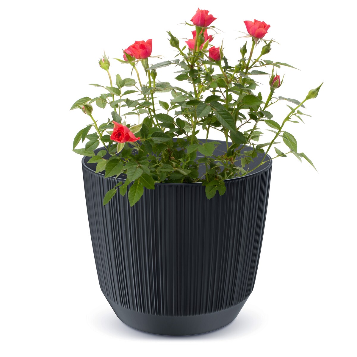 Doniczka Osłonka Domowa 12,6 Cm Ryfo Na Stół Parapet Do Domu Antracytowa