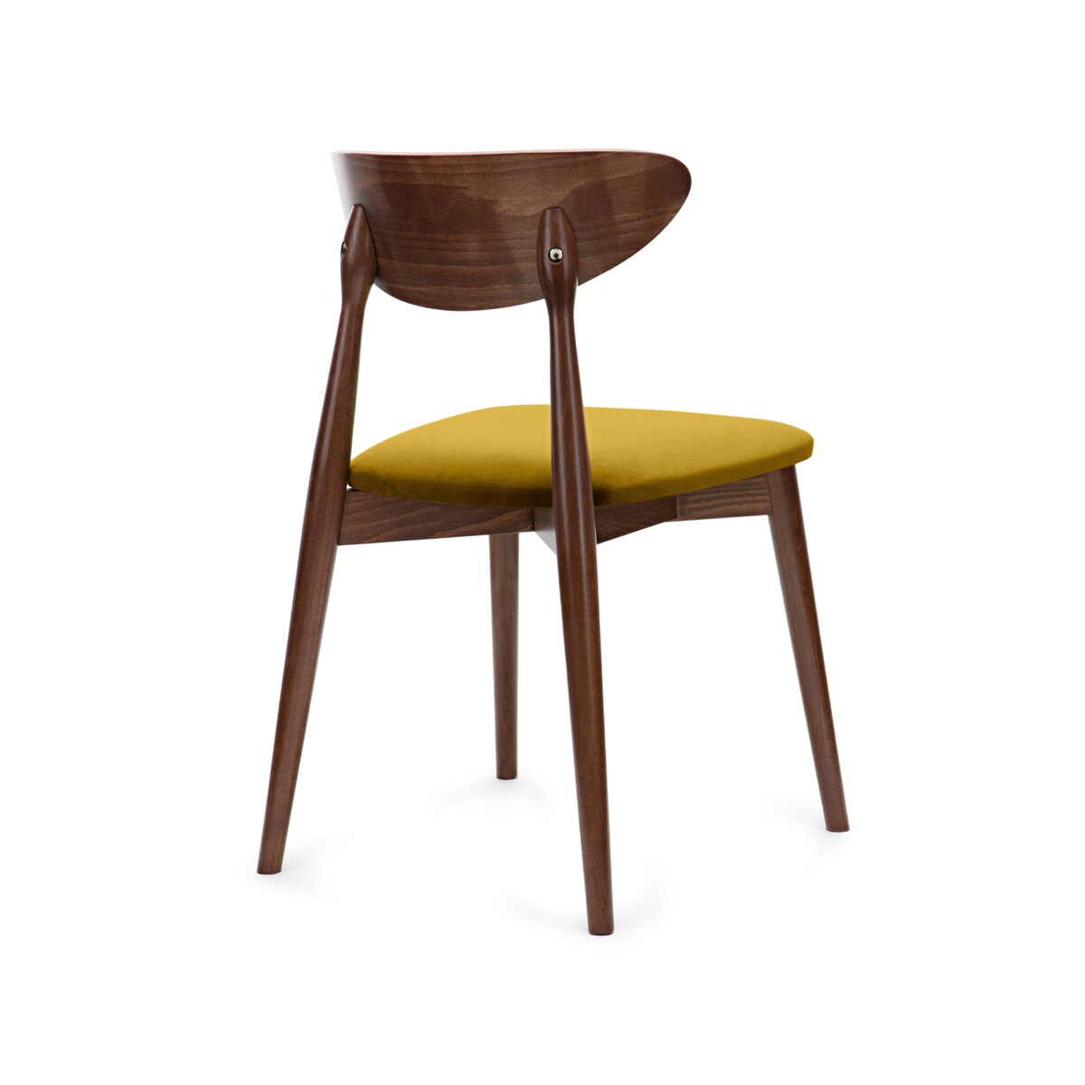KONSIMO RABI drewniane krzesło orzech żółty welur