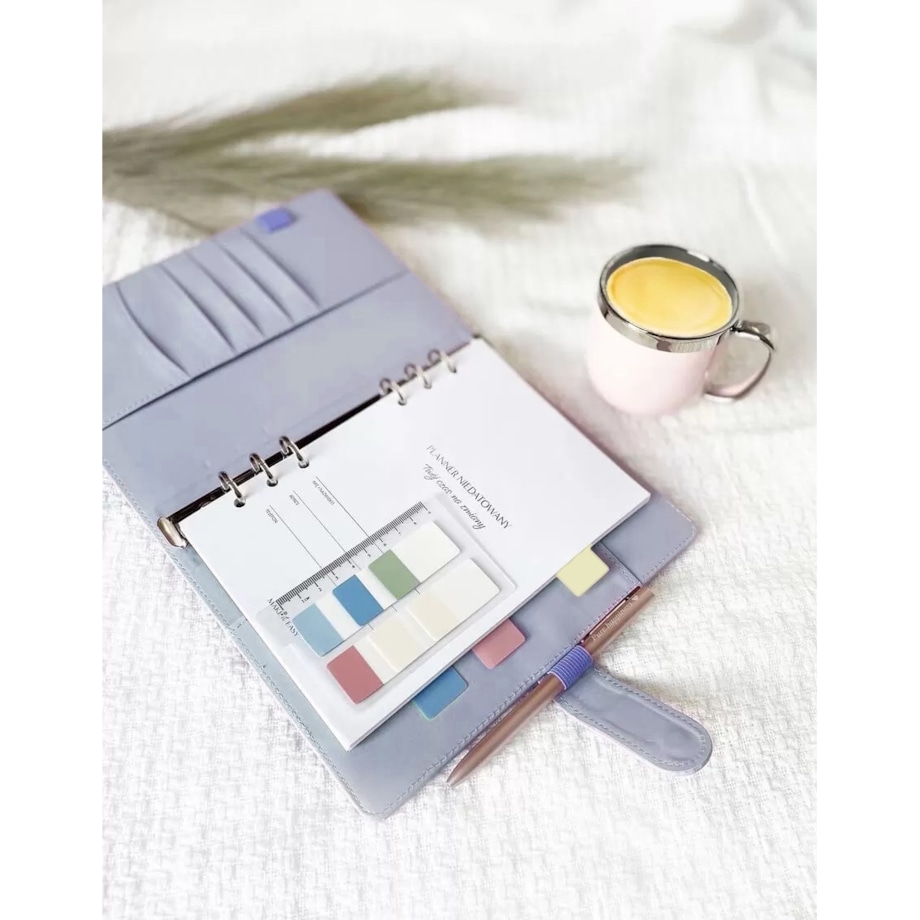 ORGANIZER W FORMIE SEGREGATORA – BLUE SKY