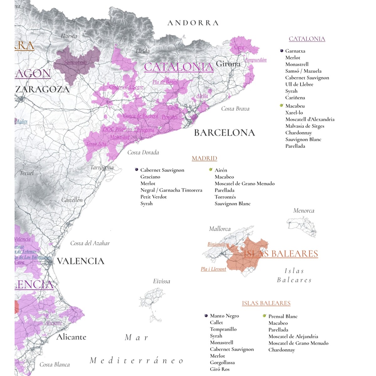 plakat HISZPANIA regiony winiarskie 50x70cm