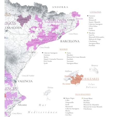 plakat HISZPANIA regiony winiarskie 50x70cm