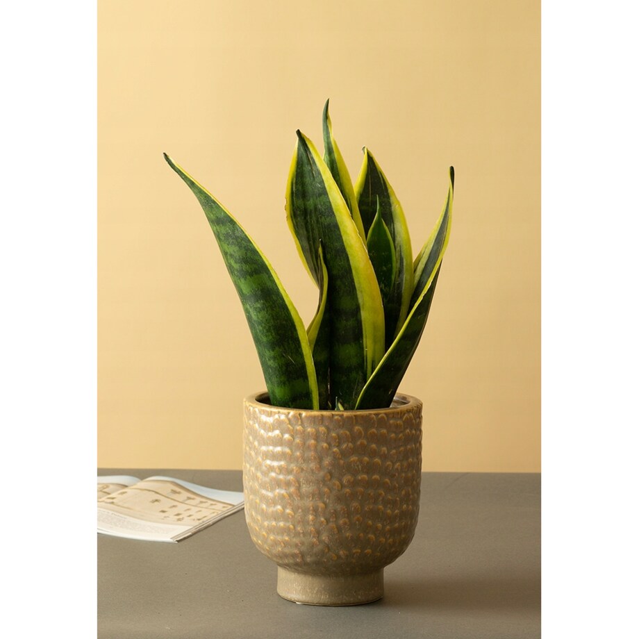 DONICA STIM ceramiczna skandynawska śr. 13cm