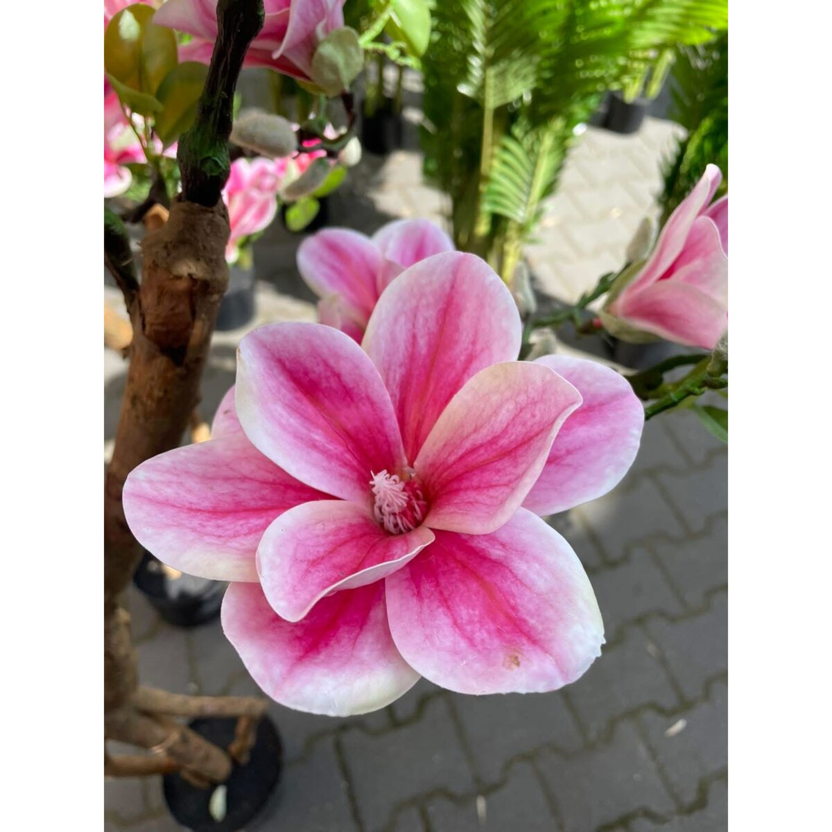 Sztuczne drzewko magnolii 180 cm