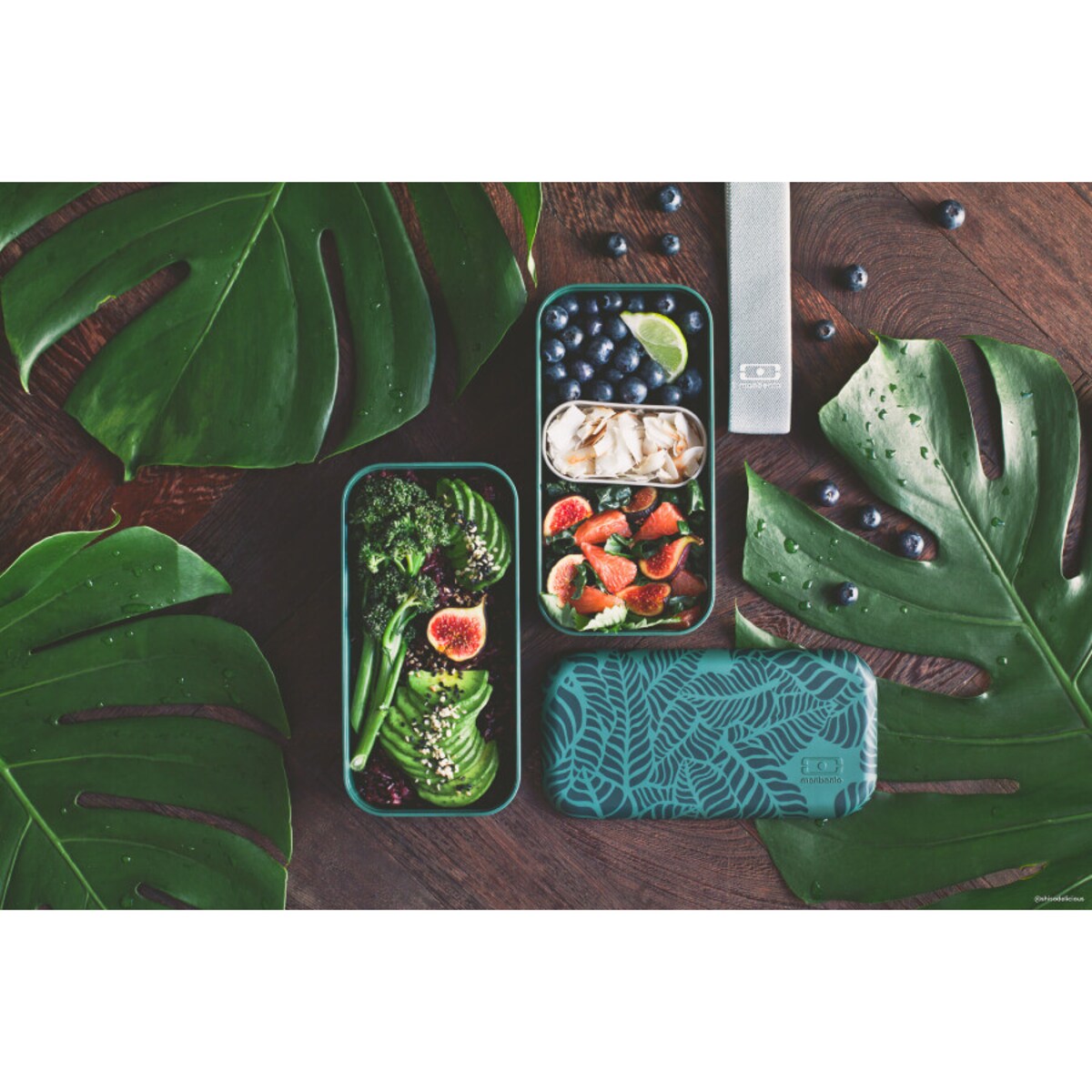 Lunchbox Jungle Bento Original, 1000 ml, Monbento
