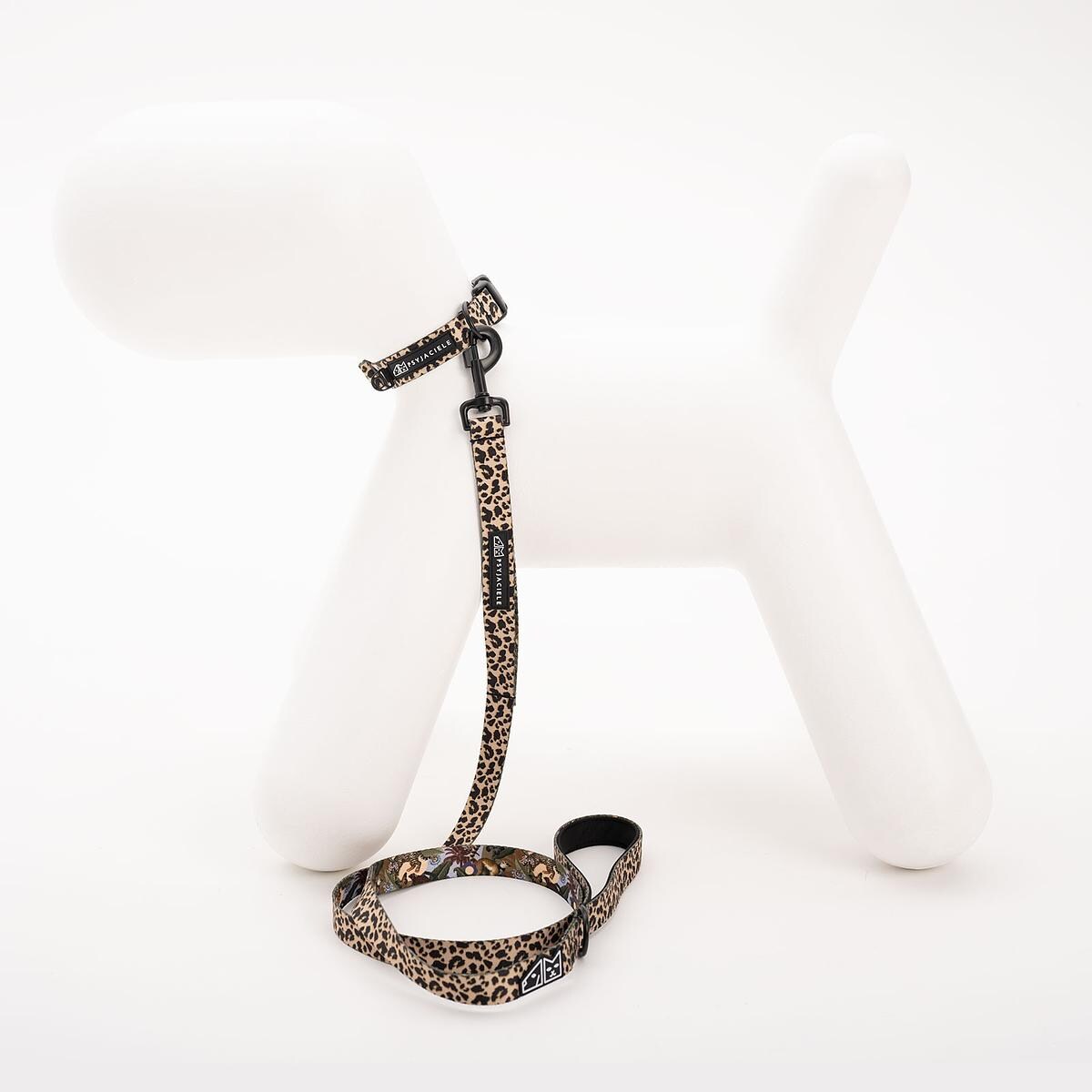 Obroża dla psa lub kota "Pan tera mi kupi" PANTERKĄ DO GÓRY - Szerokość taśmy: 15mm, Rozmiar: XS