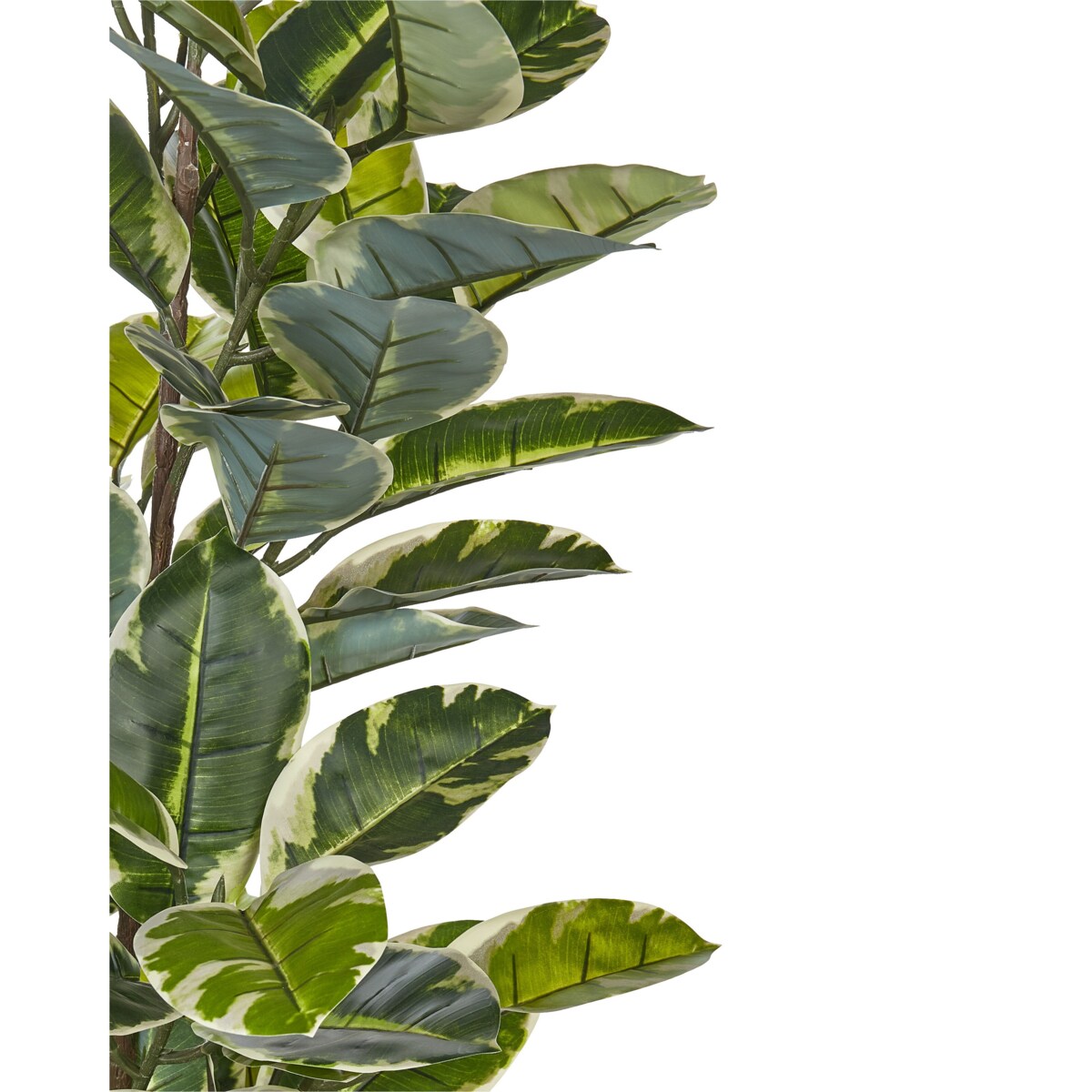 Sztuczna roślina doniczkowa 160 cm FICUS ELASTICA