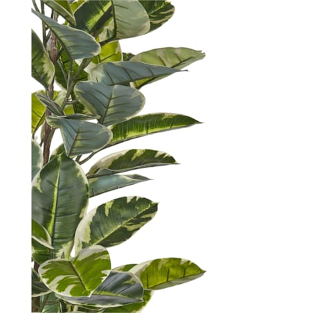 Sztuczna roślina doniczkowa 160 cm FICUS ELASTICA