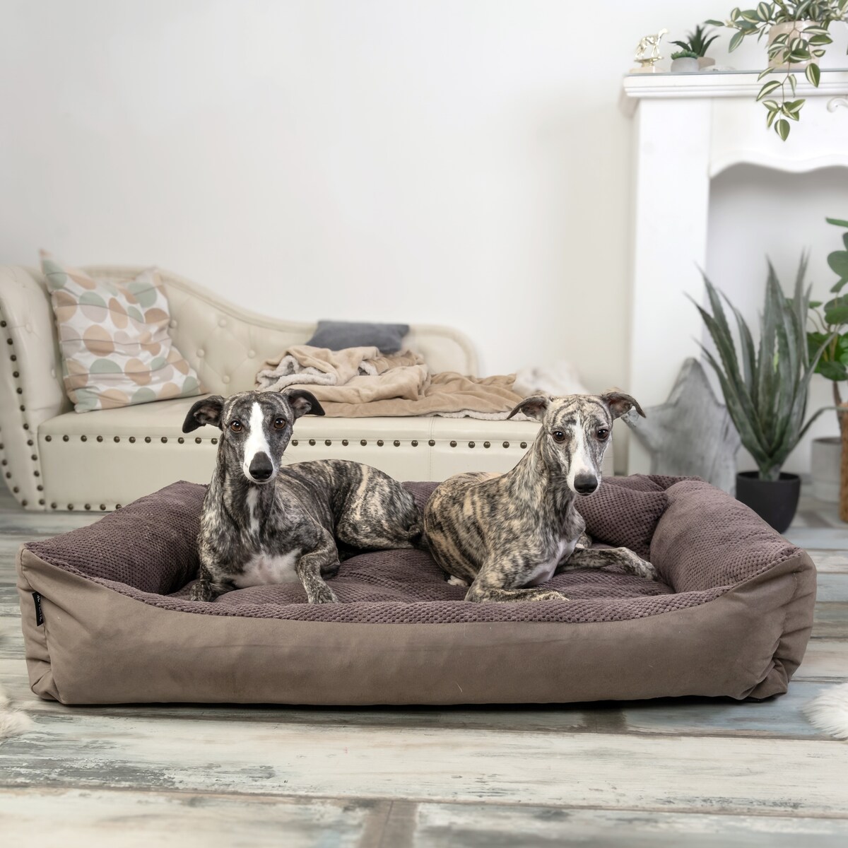 Przytulne legowisko dla psa TEO, 80x60 cm, Brąz